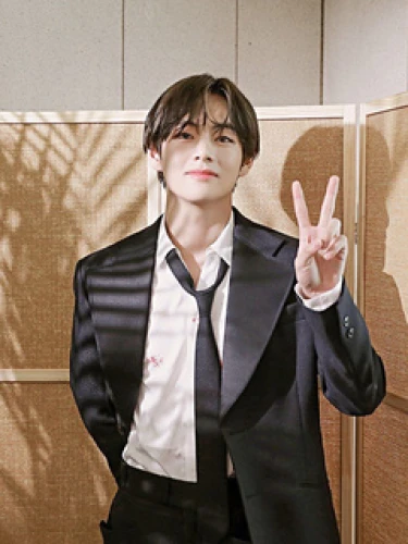 V (Kim Tae-hyung)...