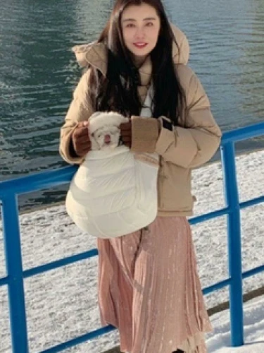 Joey Wong (王祖賢)